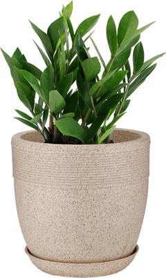 Garden's Need Round Shape 15 Inch Flower Pot Marble Stone Jaguar Cool Pot Planter with Tray Plant Container Set(Plastic)