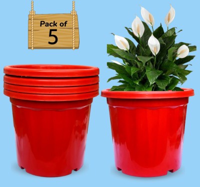 Nursery Hub (Pack of 5) High Strength 10 inch dia. X 8 inch ht gamla pot Planters Pots Plant Container Set(Pack of 5, Plastic)