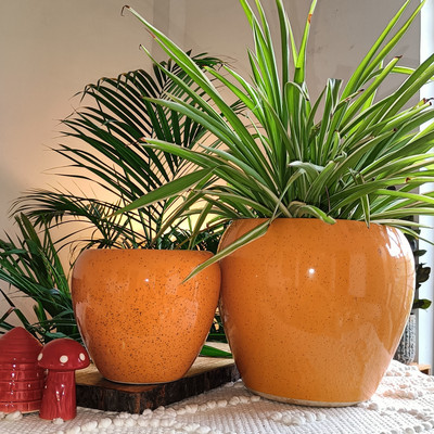 Niyara mustard apple pot combo Plant Container Set(Pack of 2, Ceramic)