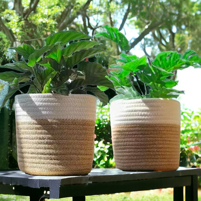 DYARCHY Plant Container Set(Pack of 2, Fabric)