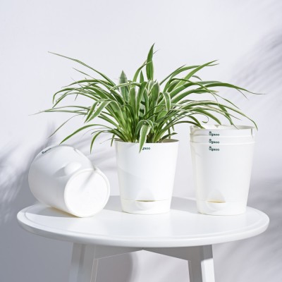 UGAOO Krish Self Watering White Planter - 4 Inch Set of 5 Plant Container Set(Pack of 5, Plastic)