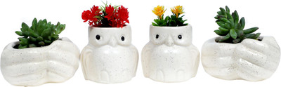 Jimkia Plant Container Ceramic for Plants to décor Home Plant Container Set(Pack of 4, Ceramic)