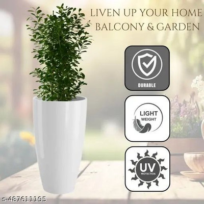 GamlaAura Virajsanchi White Tower Pot 8 Inches Plant Container Set(Plastic)