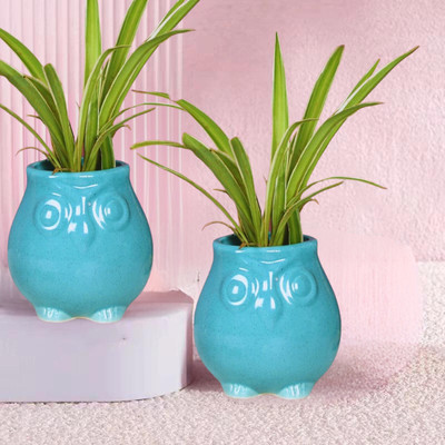 Jimkia Ceramic Planter Pot Owl Shape For Home & Garden Decor etc (Plant Not Included) Plant Container Set(Ceramic)