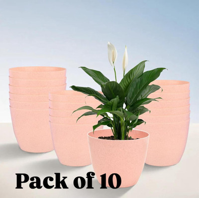 Muddstyles EcoBloom Multi-Pot Decorative Plant Container Set Plant Container Set(Pack of 10, Plastic)
