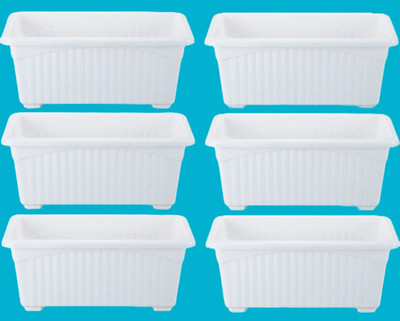 TFH Plant Container Set(Pack of 6, Plastic)