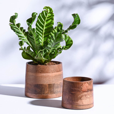 UGAOO Gradient Wooden Planter - Pots for Indoor/Outdoor Plants Plant Container Set(Pack of 2, Wood)