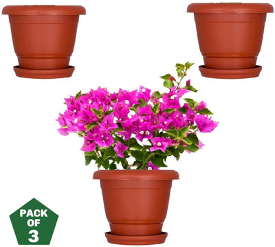 GROOT Plant Container Set(Pack of 3, Plastic)