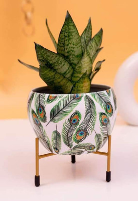 FNF Creation Metal Flower Pot for Indoor Plants Plant Container Set(Metal)