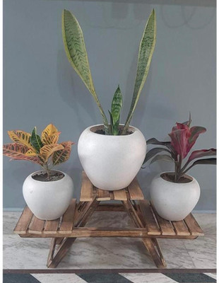 ARTORZO Planter01 Plant Container Set(Wood)