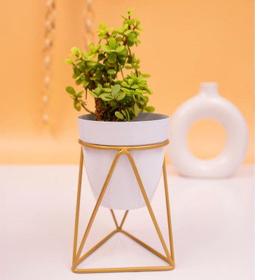 VoiDrop Pot with stand Table Centerpiece Vase,Dining Table Centerpieces(Only Pot) Plant Container Set(Metal)