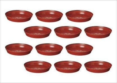 VirajSanchi 8 Inches Wide Premium Quality Saucer Base Tray for Pots (Pack Of 12) Plant Container Set(Pack of 12, Plastic)