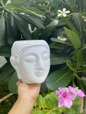 JOREN Buddha pot Plant Container Set(Plastic)