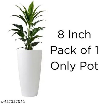 GamlaAura Plant Container Set(Plastic)