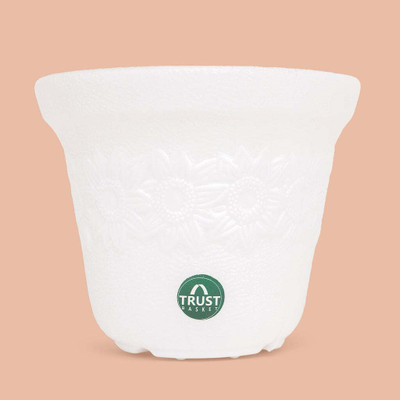 TrustBasket Sunny Pot 6 inch White Set of 1 Plant Container Set(Plastic)