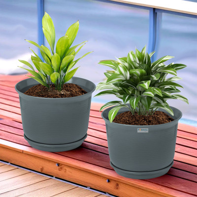 HOMESTIC by Kuber Industries Plain Sawera Flower Pot for Home with Tray|10 Inch|Pack of 2|Gray Plant Container Set(Pack of 2, Plastic)
