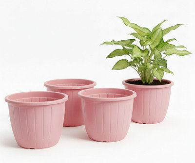 Decorzone 4 pcs Heavy Duty 8 inch Plastic flower pots gamla for home indoor & outdoor Plant Container Set(Pack of 4, Plastic)