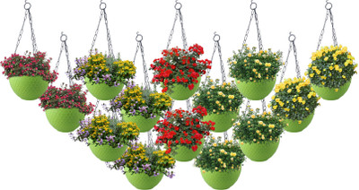 Zobby Decorate Home Indoor-Outdoor With Growing Hanging / Table Planter Plant Container Set(Pack of 14, Plastic)