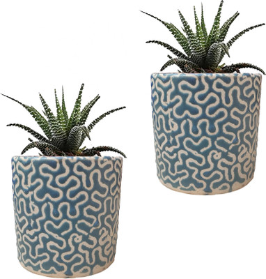 SLT Navy Blue RD Pipe Ceramic Pot Size 4x4inch GH0022-03_Packof2 Plant Container Set(Pack of 2, Ceramic)