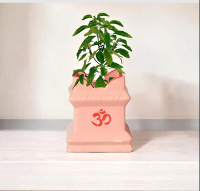 Mapada dabra-02 Plant Container Set(Ceramic)