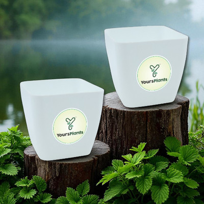 YoursPlants White 6.5inch Siena (w17cm X h16cm) Corner Planters -Indoor / Outdoor Plant Container Set(Pack of 2, Plastic)