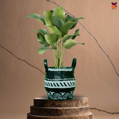 HUNAR TRIBE MM001 Plant Container Set(Rubber)