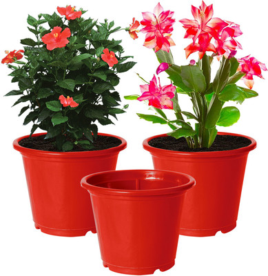 KUBER INDUSTRIES Plant Container Set(Pack of 3, Plastic)