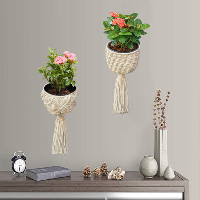 Macrame World Handknitted Wall Mounted Beautiful & Modern Design Flower Holder Planter Plant Container Set(Pack of 2, Fabric, Metal)