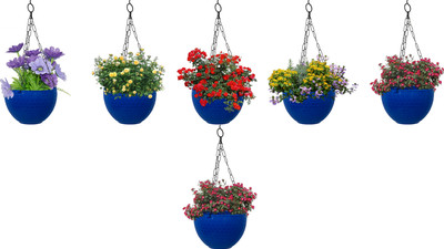 Zobby Ceiling Hanging Pots For Home / Office / Patio / Balcony / Terrace Plant Container Set(Pack of 6, Plastic)