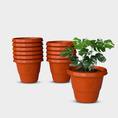 Yuccabe Italia SHERA RD 12 Inch Plastic Flower Pots | Round Gamla Planters for Indoor & Outdoor Plant Container Set(Pack of 12, Plastic)