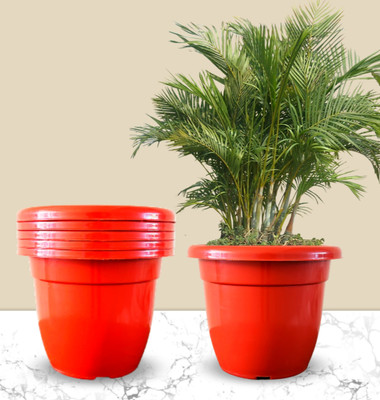 TFH Plant Container Set(Pack of 6, Plastic)