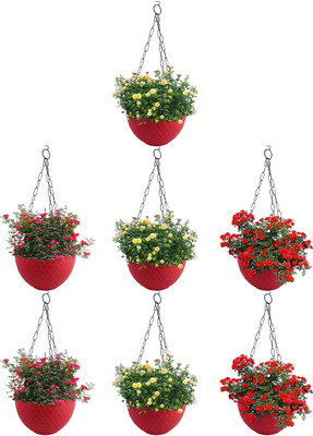 Zobby Decorate Home/ Office / Garden / Terrace / Balcony / Ceiling With Growing Pots Plant Container Set(Pack of 7, Plastic)