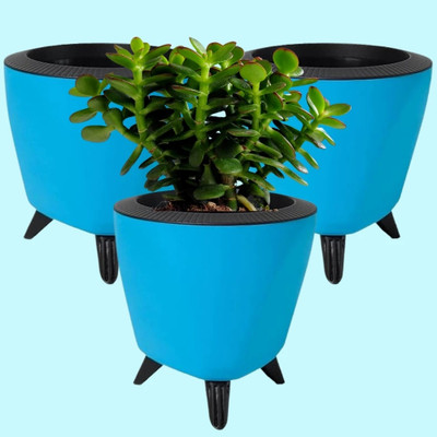 horttica Flower Pot for Plants for Indoor Décor | Self Watering Flower Pot | Plant Container Set(Pack of 3, Plastic)