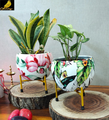 SONE KEY CHIDIYA Plant Container Set(Pack of 2, Metal)