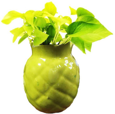 THE HIMALAYA CRAFT Plant Container Set(Ceramic)