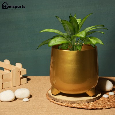 homspurts Matte Finish Golden Table Top Golden Metal Planters With Stand Plant Container Set(Metal)