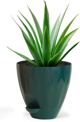 PUHBRHY Gamla Pots with Bottom Plates Garden Planters for Home Balcony Indoor & Outdoor Plant Container Set(Plastic)
