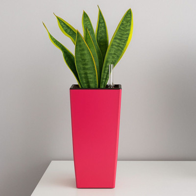 REDBUD Pink Self Watering Planter/ Pot Plant Container Set(Plastic)
