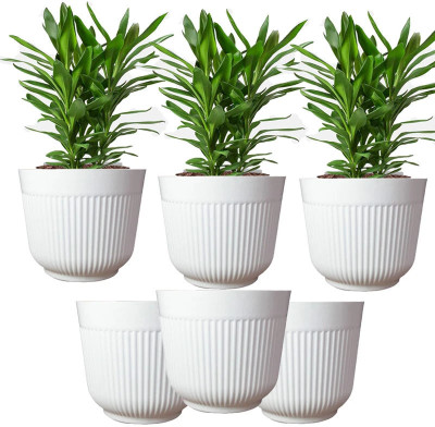 Urban Infotech 12 Inch Big Size Plastic Flower Pot For Indoor Outdoor Gardening White Plant Container Set(Pack of 6, Plastic)