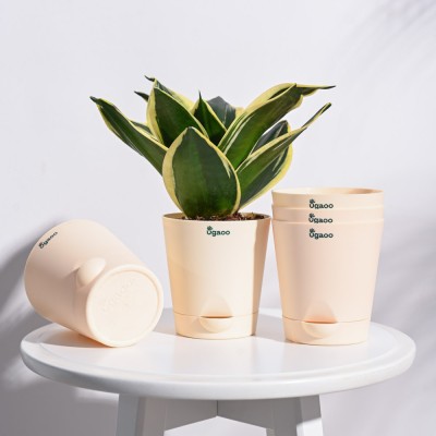 UGAOO Krish Ivory Self Watering Planter - 4 Inch Set of 5 Plant Container Set(Pack of 5, Plastic)