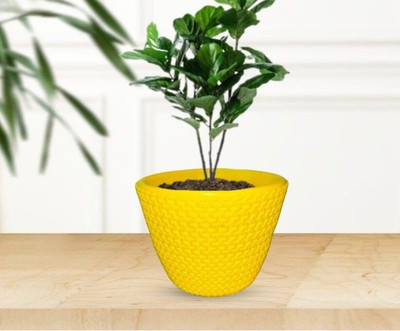 Muddstyles EcoBloom Multi-Pot Decorative Plant Container Set Plant Container Set(Plastic)