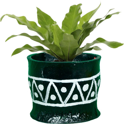 HUNAR TRIBE AU003 Plant Container Set(Rubber)