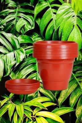 NurseryNamo Nurserynamo Garden Planters with Drain Holes for Home Plants 8 inch Plant Container Set(Pack of 5, Plastic)