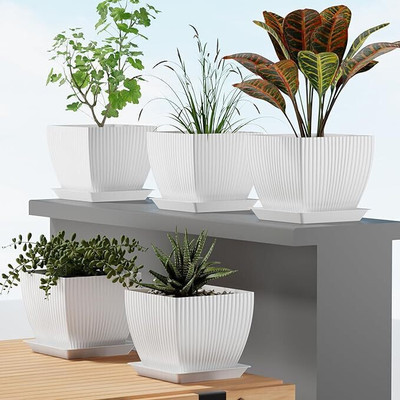 VIVED 5 SQUARE FLOWER POT WITH 5 TRAY Plant Container Set(Pack of 5, Plastic)