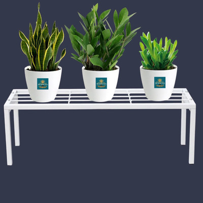 The Home Care Metal Planter Stand Flower Pot Gamla Holder for Indoor Outdoor Balcony Garden Plant Container Set(Metal)