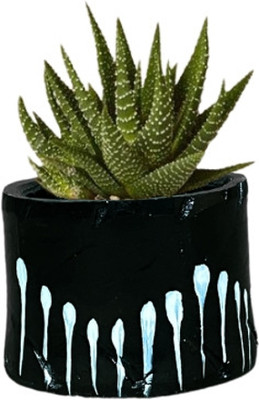 HUNAR TRIBE Plant Container Set(Rubber)