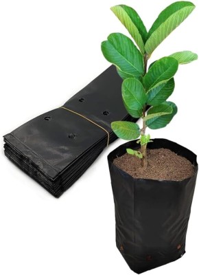 siddhiagritech Black Nursery Bags 12x16 inch 25 Pieces UV Protected I with Drain Hole Plant Container Set(Pack of 25, Plastic)