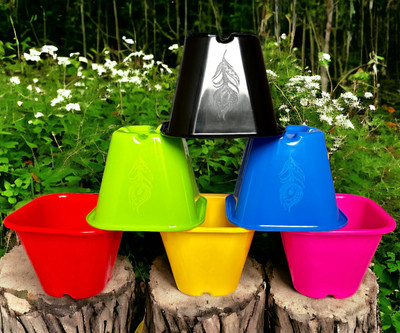 Inside Styles Colorful Decorative Plant Pots Brighten Home Office Spaces with Joy & Vividness Plant Container Set(Pack of 6, Plastic)