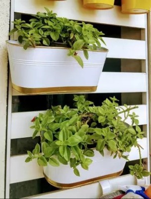 Seshi Handicrafts hanging planter Plant Container Set (Pack of 2, Metal) Plant Container Set(Pack of 2, Metal)
