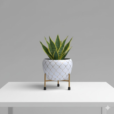 URBAN NEST CREATIONS Golden Veil White Planter Pot | Indoor & Outdoor | Home, Balcony & Office Decor Plant Container Set(Metal)